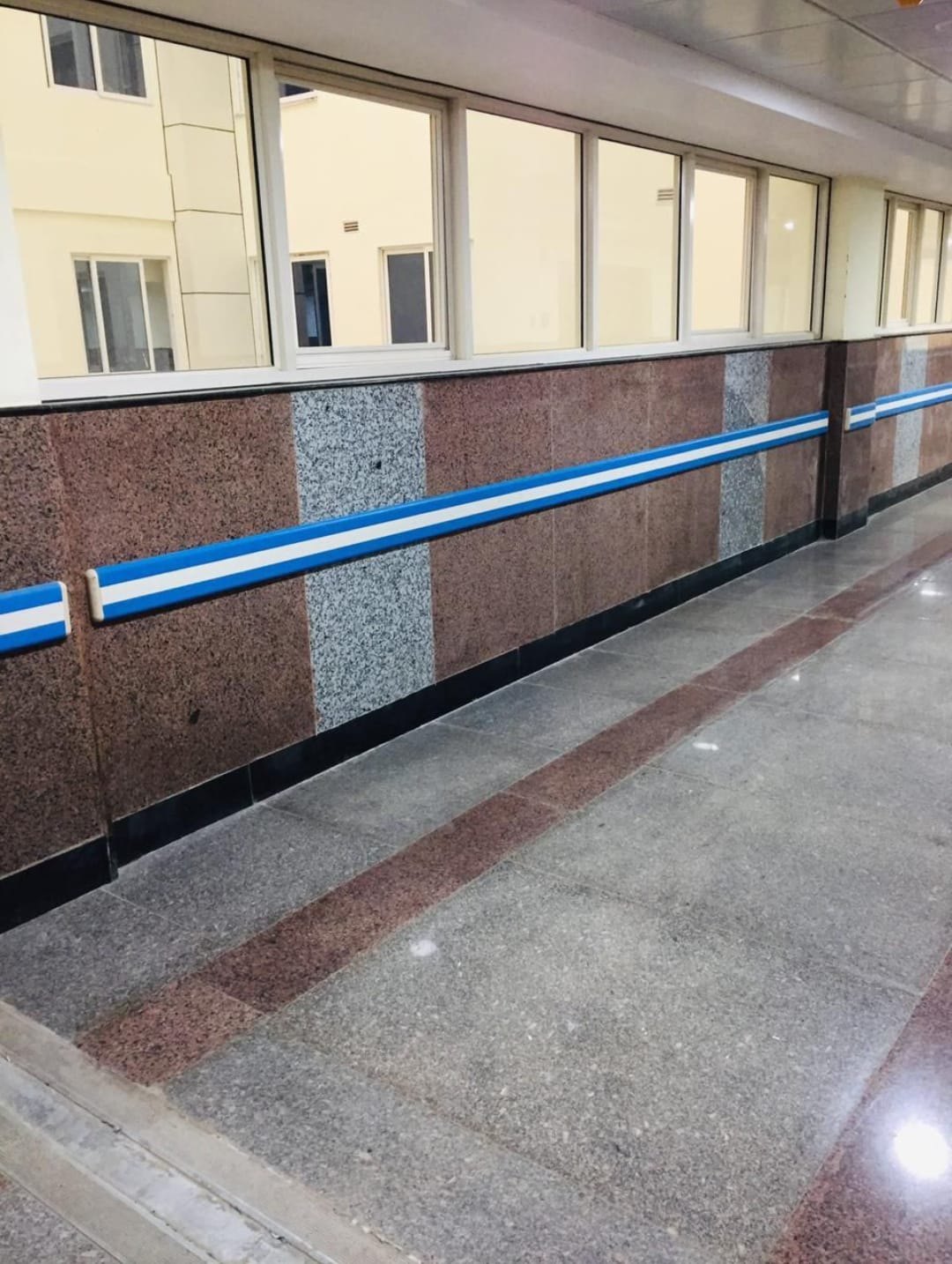 Hospital Wall Guard